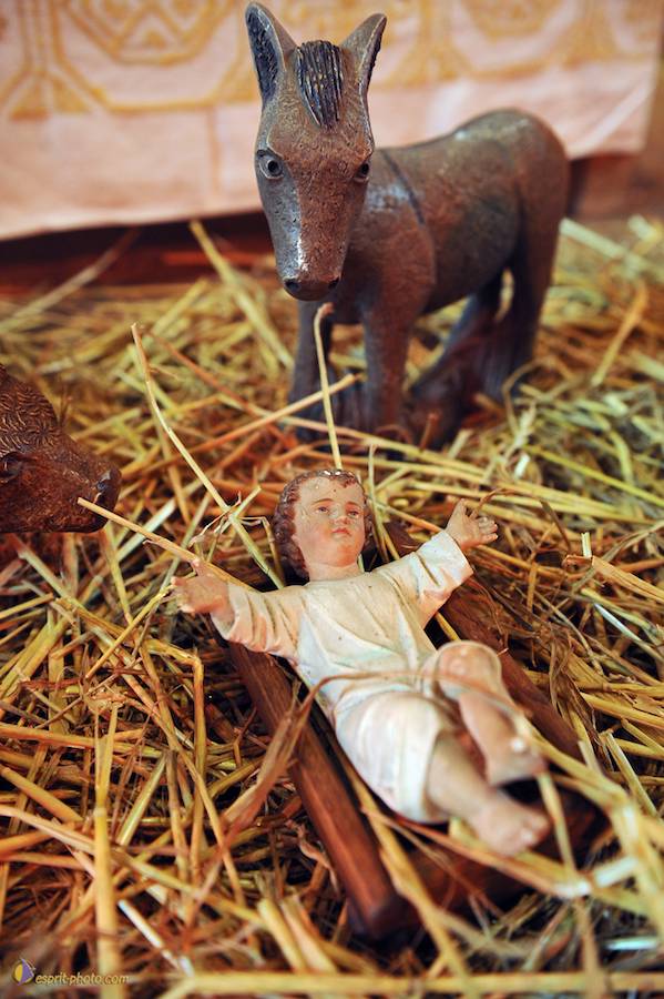 Nom de l'image : D30042288_1_(c)Norbert-JUNG — Description :